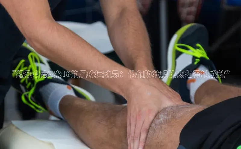 辉达娱乐app下载安装壹网壹创“揭秘身高2米18的足球运动员：他们的壮观比赛和震撼成就”