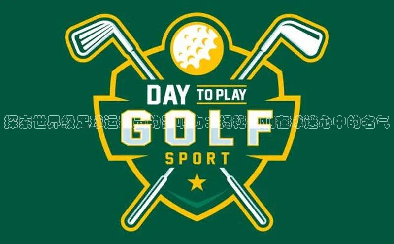 辉达娱乐平台百度手机助手探索世界级足球运动员的影响力：揭秘他们在球迷心中的名气