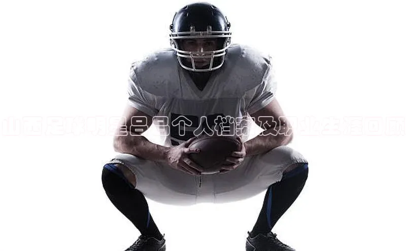 辉达官网遥望科技山西足球明星吕吕个人档案及职业生涯回顾