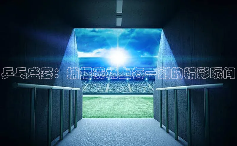 辉达娱乐app下载安装百度信誉乒乓盛宴：捕捉赛场上每一刻的精彩瞬间