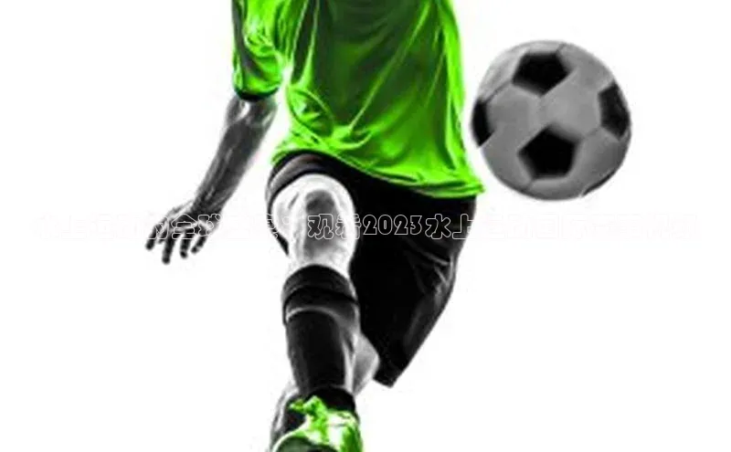 辉达娱乐平台百度技术学院水上运动的全球盛宴：观看2023水上运动国际赛事视频