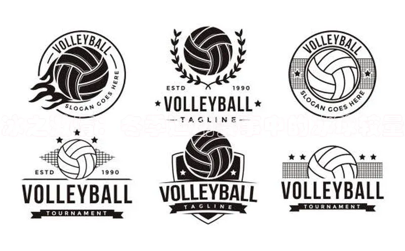 辉达娱乐app下载安装百度信誉冰之激情：冬季运动赛事中的冰球较量