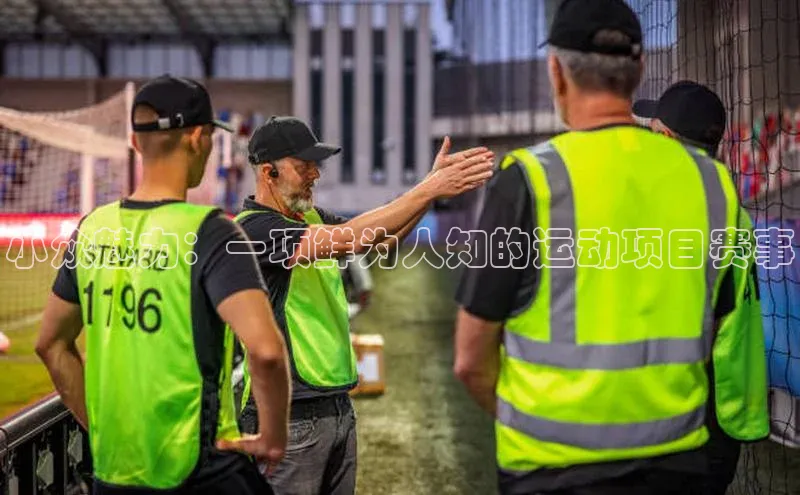 小众魅力：一项鲜为人知的运动项目赛事