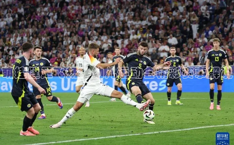 萌娃健足飞扬：幼儿运动会精彩赛事解说