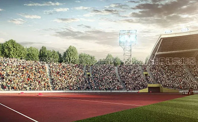 运动赛事全图鉴：从足球到马拉松——你的比赛日速览指南