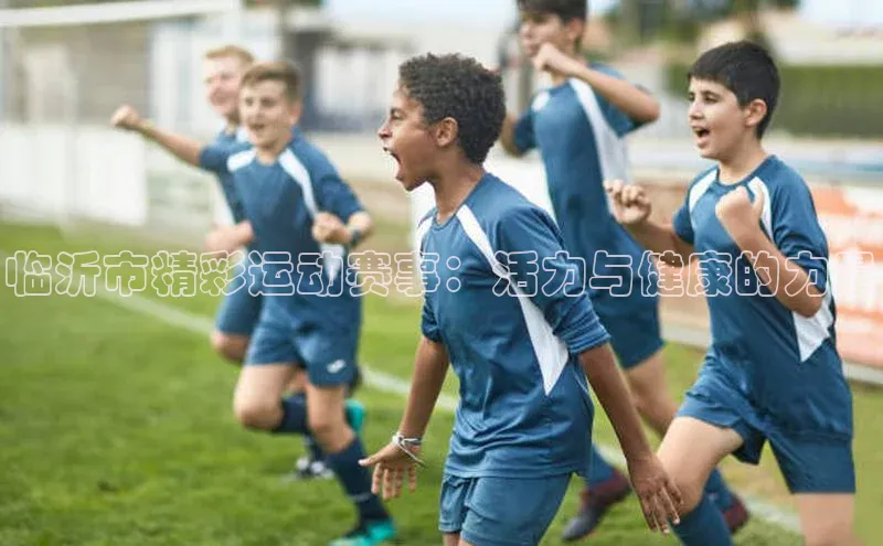 临沂市精彩运动赛事：活力与健康的力量