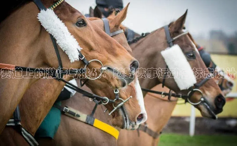 赛道上的激情与挑战：越野赛事运动会标志设计