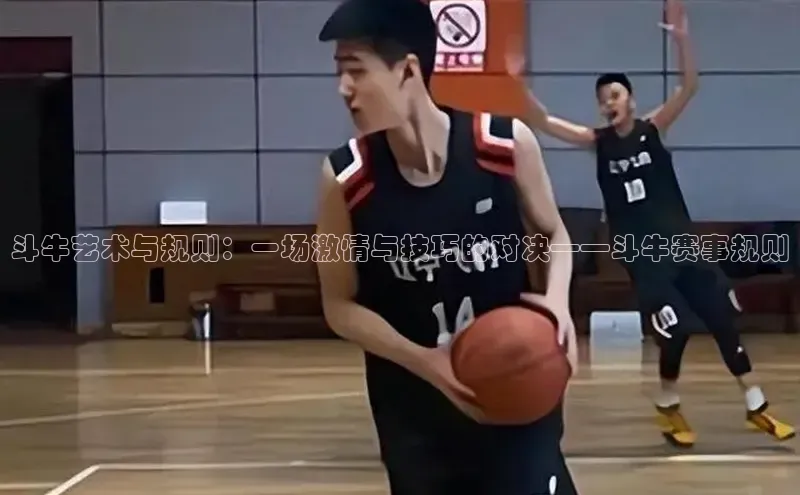 斗牛艺术与规则：一场激情与技巧的对决——斗牛赛事规则