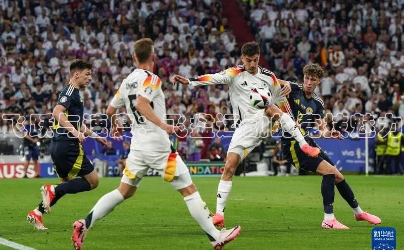 飞跃与速度：飞盘运动的竞技魅力