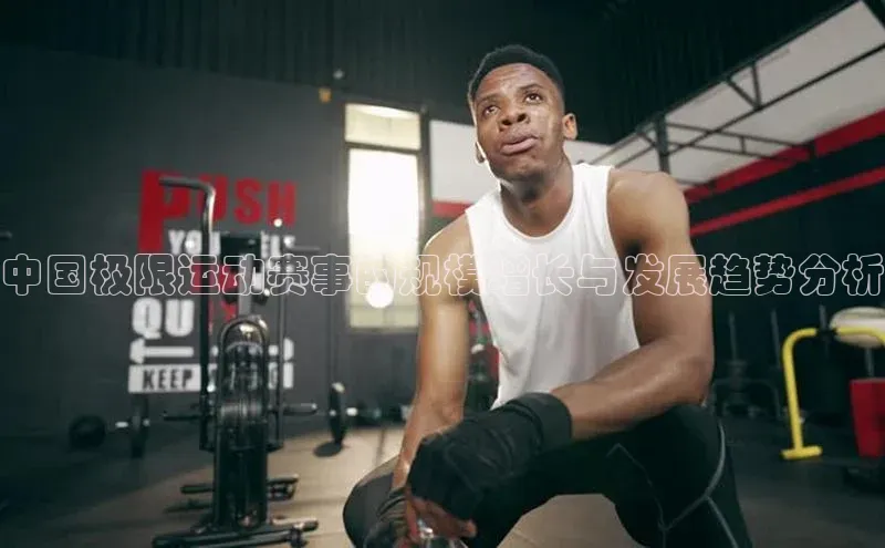 辉达娱乐app官网入口