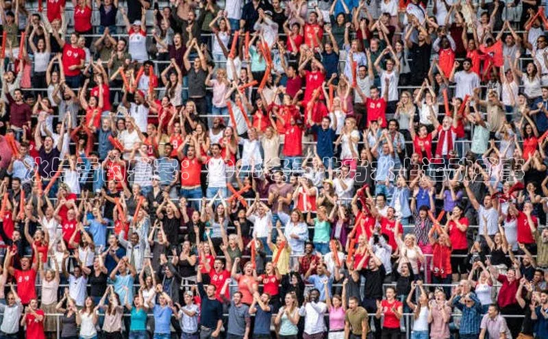 辉达娱乐app官网入口