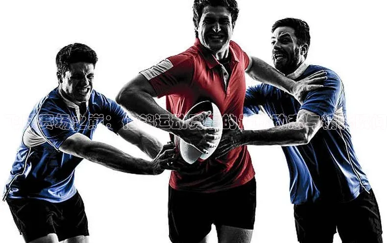 辉达平台登录入口