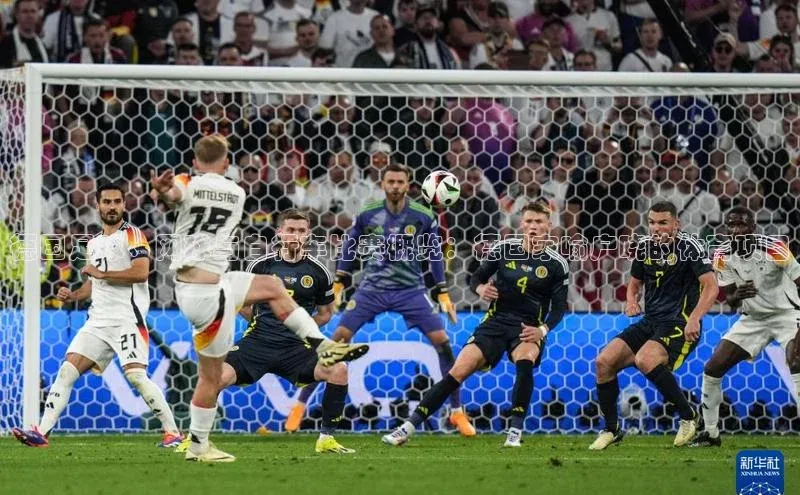 辉达娱乐app下载安装