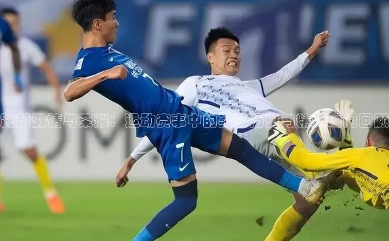 辉达娱乐彩票官网