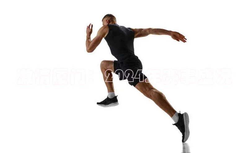 激情厦门：2024年赛事盛况