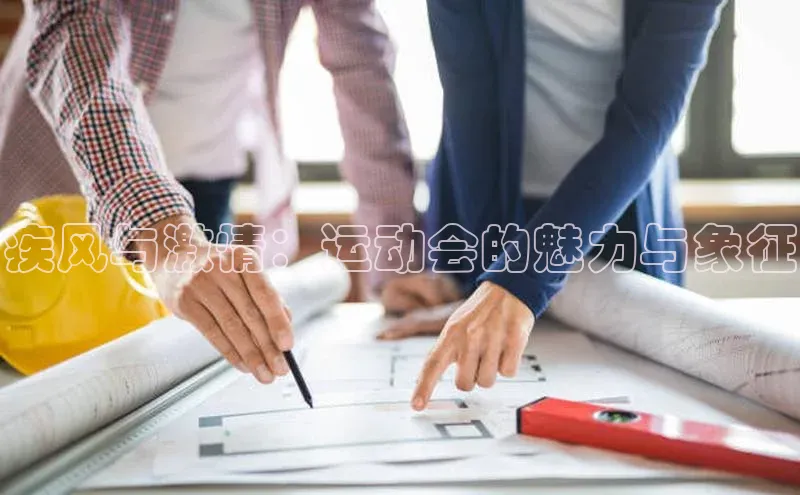 疾风与激情：运动会的魅力与象征